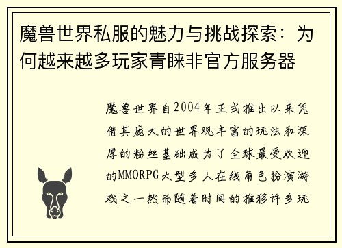 魔兽世界私服的魅力与挑战探索:为何越来越多玩家青睐非官方服务器